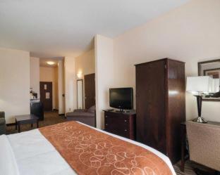 Comfort Suites Abingdon I-81 - Abingdon - 3