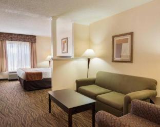 Comfort Suites Abingdon I-81 - Abingdon - 2