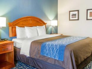 Comfort Inn & Suites Pauls Valley - City Lake - Pauls Valley - 3