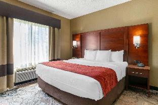 Comfort Suites Southfield-Detroit - Southfield - 5