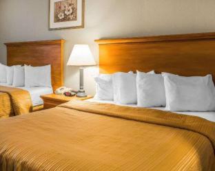Quality Inn Tracy I-205 - Tracy - 9
