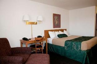Baymont by Wyndham Elko - Elko - 6