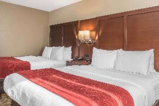 Comfort Suites Mason near Kings Island - Mason - 8