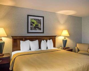 Quality Inn & Suites Cincinnati I-275 - 3