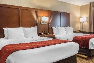 Comfort Suites Mason near Kings Island - Mason - 3