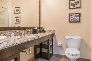 Comfort Suites Mason near Kings Island - Mason - 1