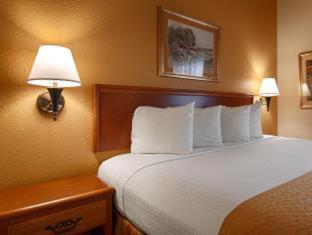 Best Western Executive Inn & Suites - Madisonville - 4