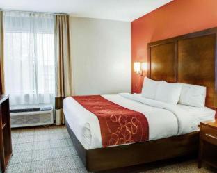 Comfort Suites Tyler South - 8