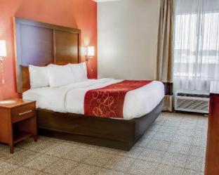 Comfort Suites Tyler South - Tyler - 5