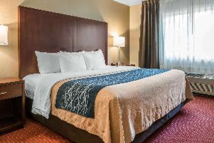Comfort Inn Lacey - Olympia - Lacey - 8