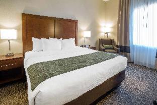 Comfort Inn & Suites - Edgewood - 8