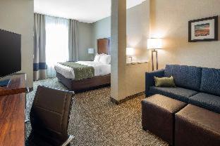 Comfort Inn & Suites - Edgewood - 5