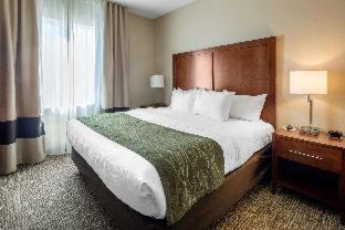 Comfort Inn & Suites - Edgewood - 4