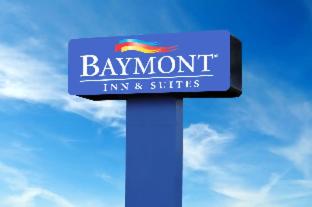 Baymont by Wyndham McAllen Pharr - McAllen - 9