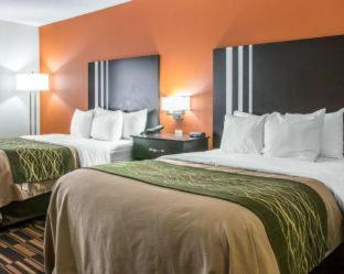 Comfort Inn Maumee - Perrysburg Area - Maumee - 8