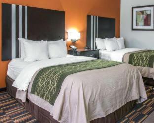 Comfort Inn Maumee - Perrysburg Area - Maumee - 7