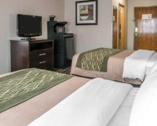 Comfort Inn Maumee - Perrysburg Area - Maumee - 4