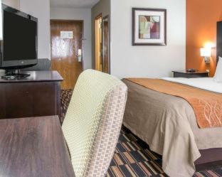 Comfort Inn Maumee - Perrysburg Area - Maumee - 3