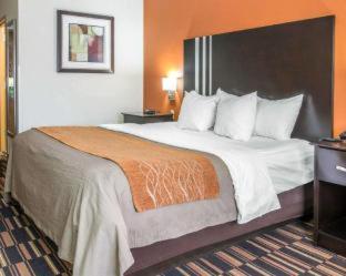Comfort Inn Maumee - Perrysburg Area - Maumee - 1