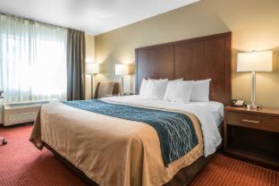 Comfort Inn Lacey - Olympia - Lacey - 4