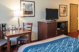 Comfort Inn Lacey - Olympia - Lacey - 1