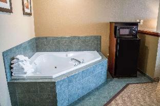 Comfort Inn & Suites - Fremont - 9