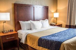 Comfort Inn & Suites - Fremont - 7