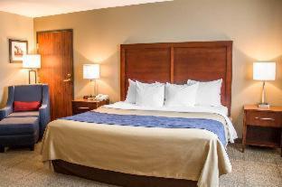 Comfort Inn & Suites - Fremont - 2