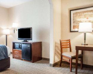 Comfort Inn & Suites Hamburg - Buffalo South - 6