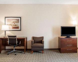 Comfort Inn & Suites Hamburg - Buffalo South - 3