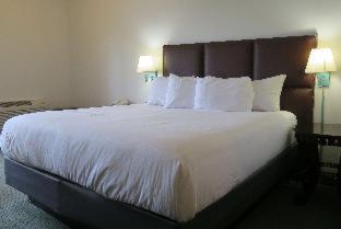 Costa Art Hotel - Laguna Beach - 8