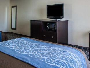 Comfort Inn Lees Summit - Hwy 50 & Hwy 291 - Lee's Summit - 3