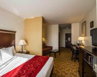 Comfort Suites West Dallas - Cockrell Hill - 9