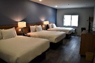 Days Inn & Suites by Wyndham Downtown/University of Houston - Houston - 7