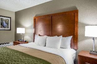 Comfort Inn & Suites at Dollywood Lane - Pigeon Forge - 9