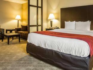 Comfort Suites Huntersville near Lake Norman - 5