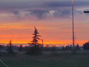 Best Western Plus Renton Inn - Renton - 3