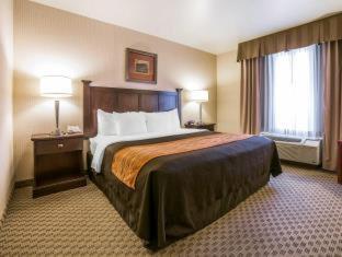 Comfort Inn & Suites Henderson - Las Vegas - Las Vegas - 5