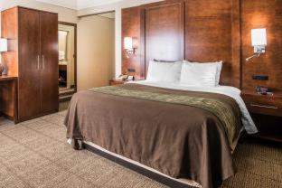 Comfort Inn Rutland - Killington - 1