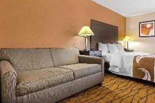 Quality Inn High Point - Archdale - Archdale - 7