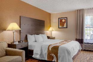 Quality Inn High Point - Archdale - Archdale - 6