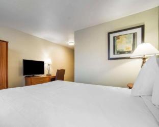 Quality Inn Gillette I-90 East - Gillette - 7