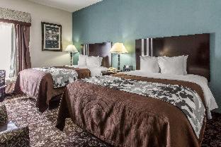 Sleep Inn & Suites West Medical Center - Amarillo - 3