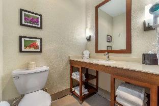 Comfort Inn & Suites Lakewood by JBLM - Lakewood - 7