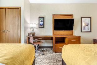 Comfort Inn & Suites Lakewood by JBLM - Lakewood - 3
