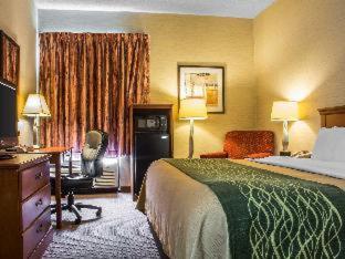 Quality Inn & Suites - 6
