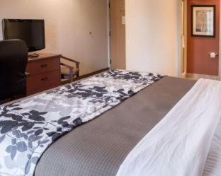 Sleep Inn Pelham Oak Mountain - Pelham - 2