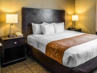 Spark by Hilton Round Rock - Round Rock - 6