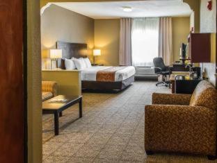 Spark by Hilton Round Rock - Round Rock - 5