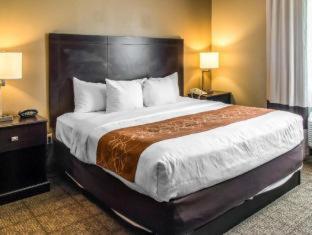 Spark by Hilton Round Rock - Round Rock - 4
